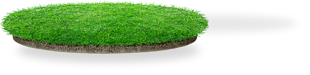 Grass on top of a round soil