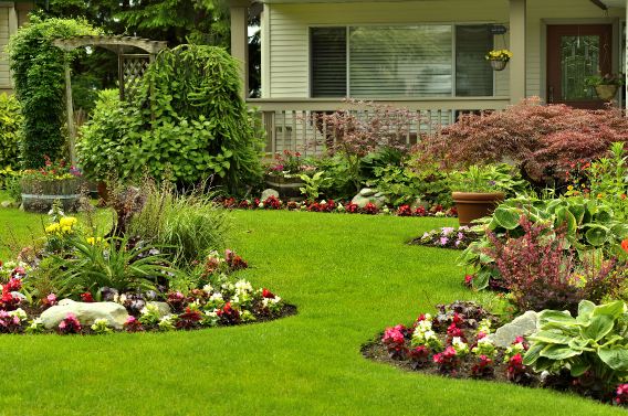 A house with garden full of plants and flowers after landscaping in Kitchener
