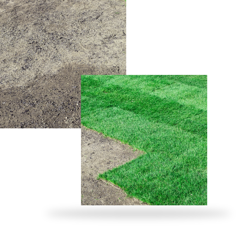 Before and after picture of lawn with grass and without grass