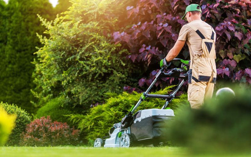professional lawn care service mowing to avoid accidental damage