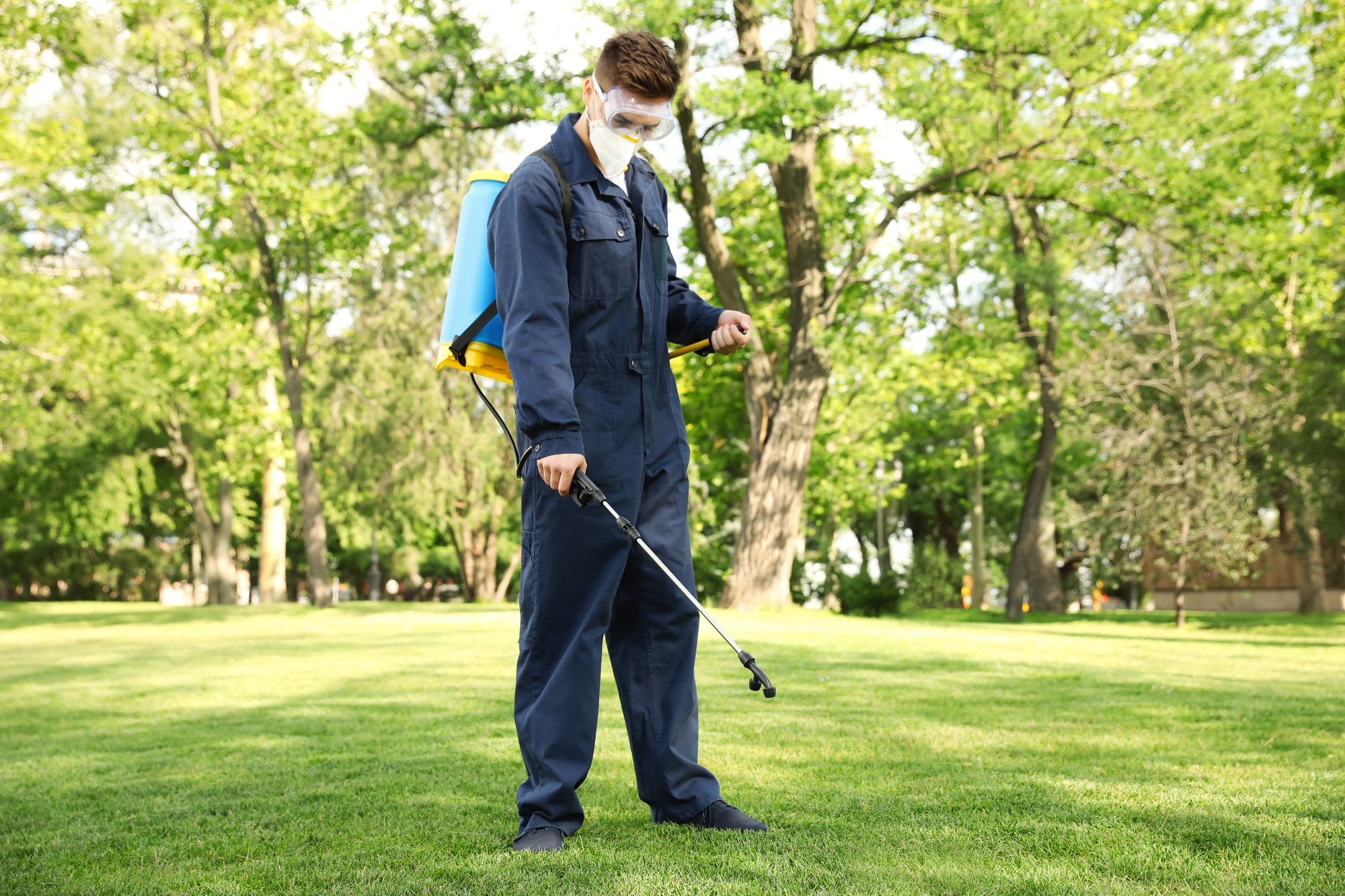 The Role of Lawn Care in Disease Prevention: Why is Regular Maintenance Important?