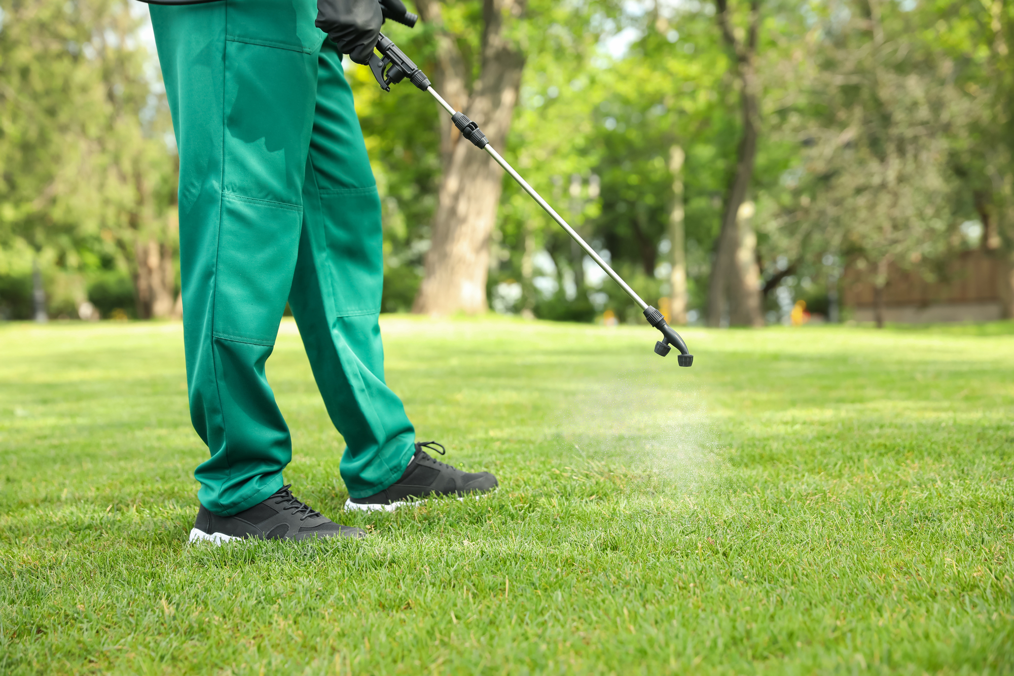 Preventing and Treating Common Lawn Diseases and Pests
