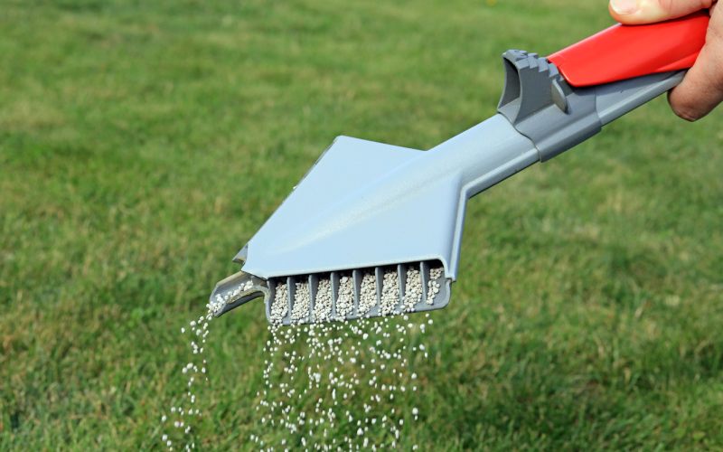 Lawn Fertilizer Being Spread By A Hand Held Spreading Machine To Feed And Treat Grass.